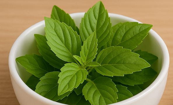 منہ کی صحت کے لیے بہترین غذائیں 2